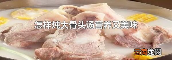 怎样炖大骨头汤营养又美味