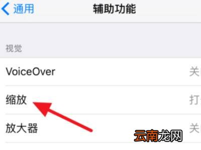 苹果手机放大镜怎么关