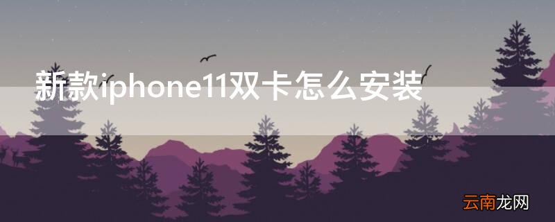 新款iPhone11双卡怎么安装 苹果iphone11双卡怎么安装