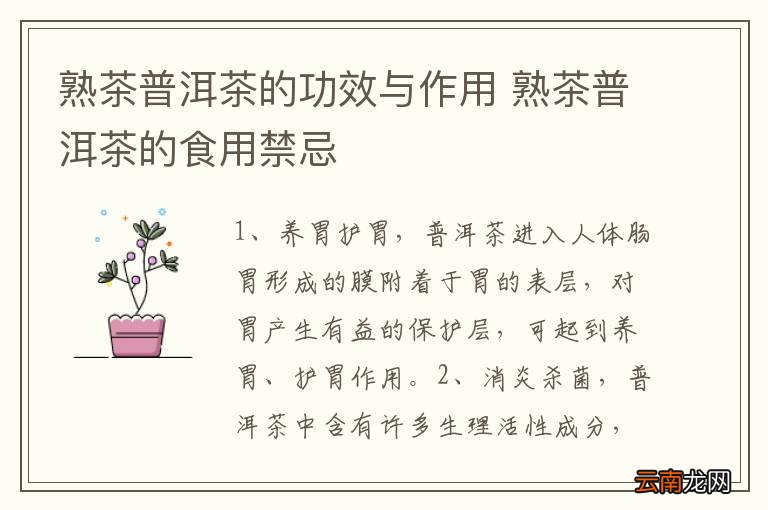 熟茶普洱茶的功效与作用 熟茶普洱茶的食用禁忌