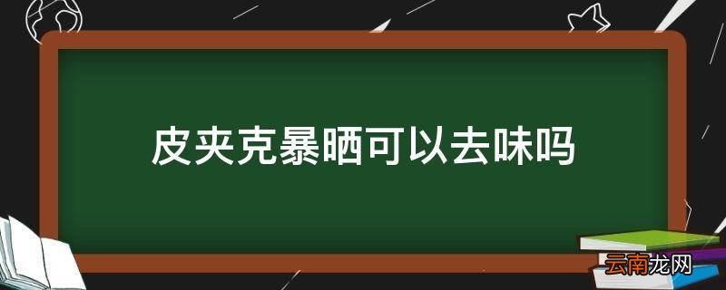 皮夹克暴晒可以去味吗