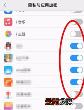 vivou1中加密应用具体操作方法