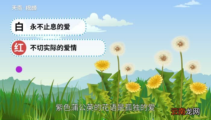 蒲公英的花语 蒲公英的花语是什么