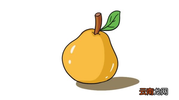 水果简笔画 水果怎么画