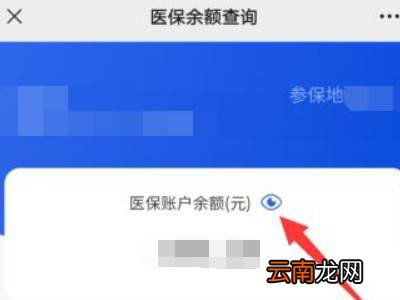 微信社保卡余额查询