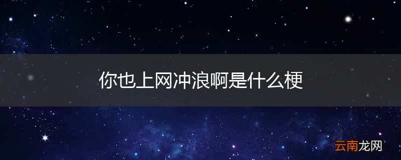你也上网冲浪啊是什么梗
