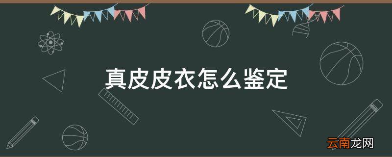 真皮皮衣怎么鉴定
