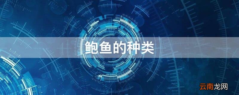 鲍鱼的种类 鲍鱼的种类及价格