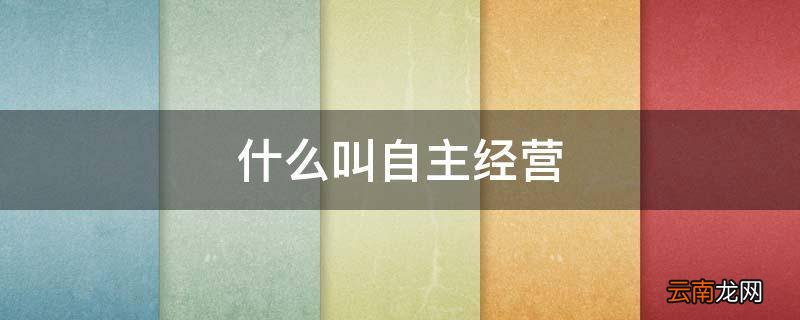 什么叫自主经营