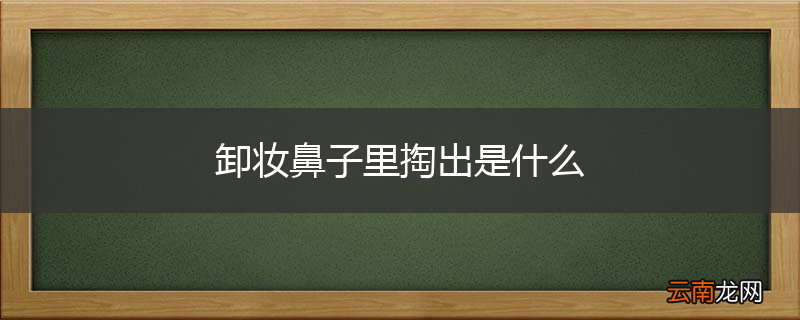 卸妆鼻子里掏出是什么