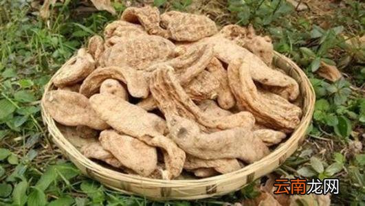 介绍一些天麻的养生吃法