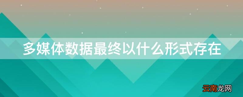 多媒体数据最终以什么形式存在