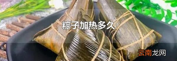 粽子加热多久