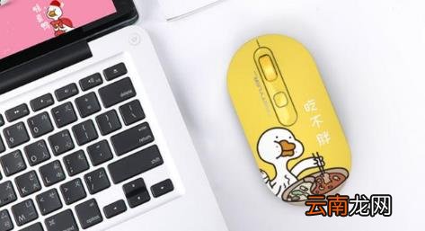 鼠标怎么选择 蓝牙鼠标怎么选择