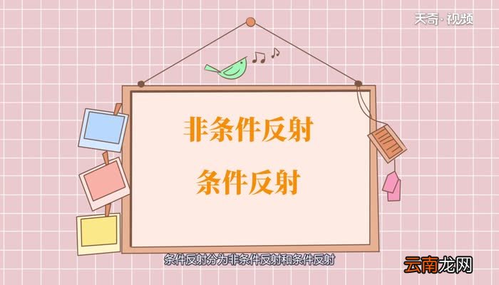 条件反射分为哪两种条件反射是怎么分的