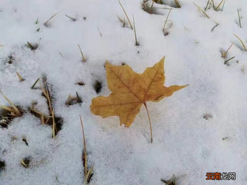 小雪单图配文 小雪图片文案配图