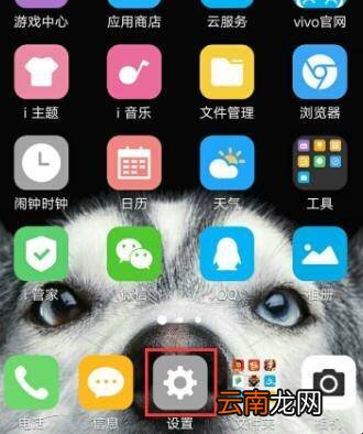 vivoy66软件管理在哪
