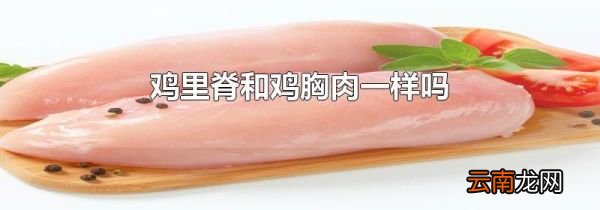 鸡里脊和鸡胸肉一样吗