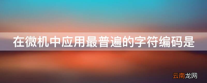 在微机中,应用最普遍的字符编码是(  在微机中应用最普遍的字符编码是
