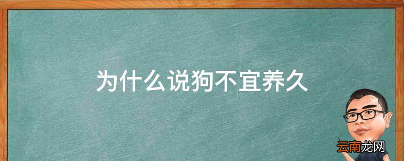 为什么说狗不宜养久