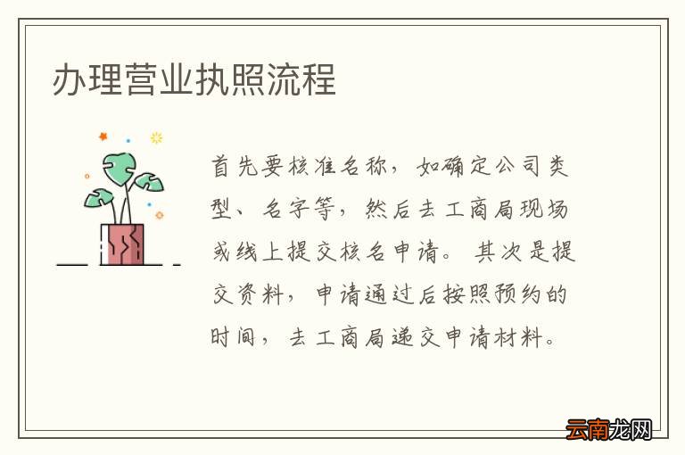 办理营业执照流程