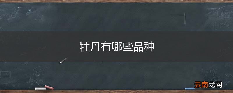 牡丹有哪些品种