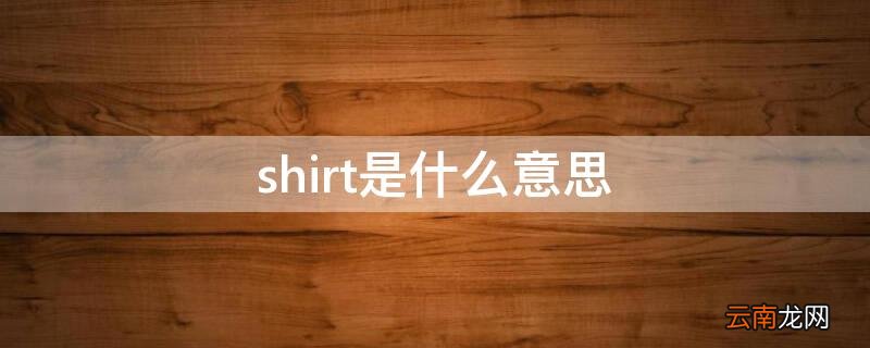 shirt是什么意思