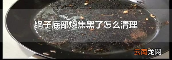 锅子底部烧焦黑了怎么清理