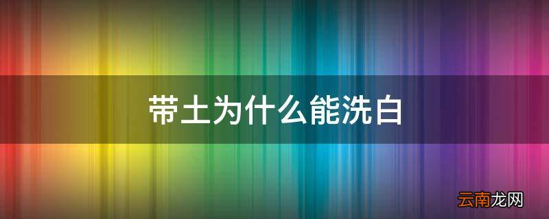 带土为什么能洗白