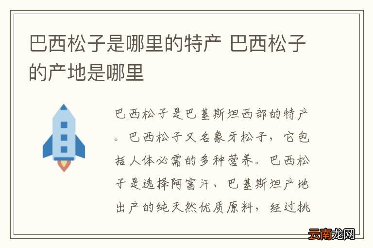 巴西松子是哪里的特产 巴西松子的产地是哪里