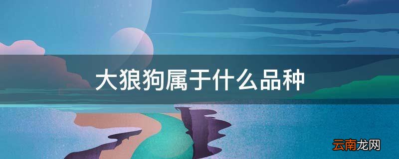 大狼狗属于什么品种