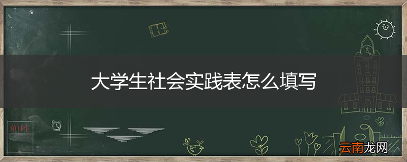 大学生社会实践表怎么填写