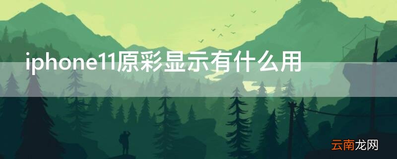 iPhone11原彩显示有什么用 iphone12原彩显示有什么用