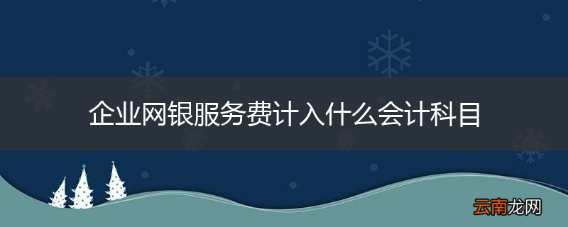 企业网银服务费计入什么会计科目