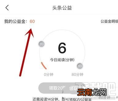 今日头条怎么捐赠公益金？