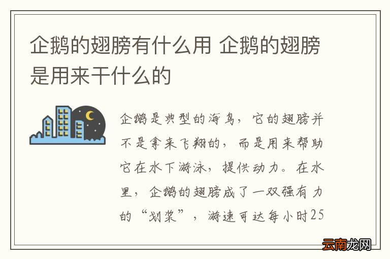 企鹅的翅膀有什么用 企鹅的翅膀是用来干什么的