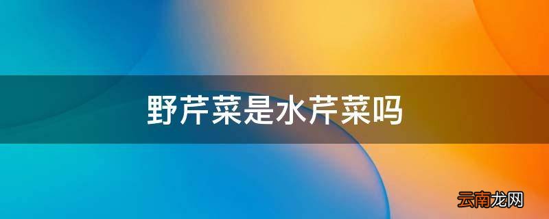 野芹菜是水芹菜吗