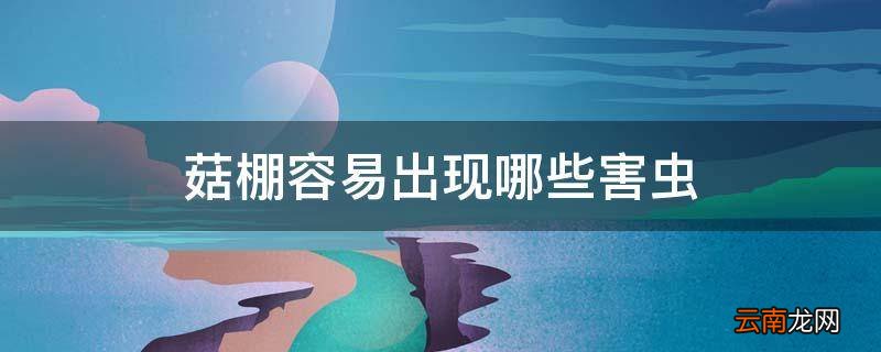 菇棚容易出现哪些害虫