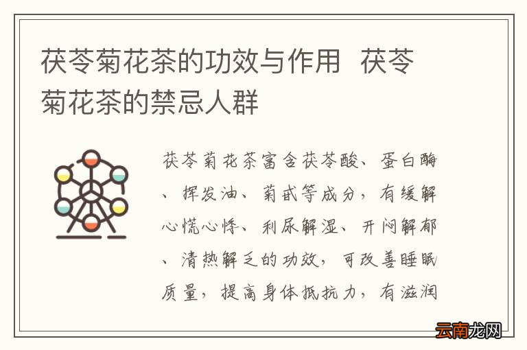 茯苓菊花茶的功效与作用茯苓菊花茶的禁忌人群