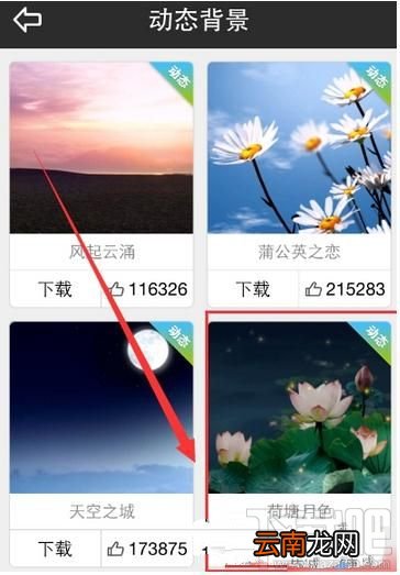 天气通怎么开启背景音效？