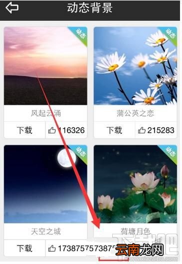 天气通怎么开启背景音效？