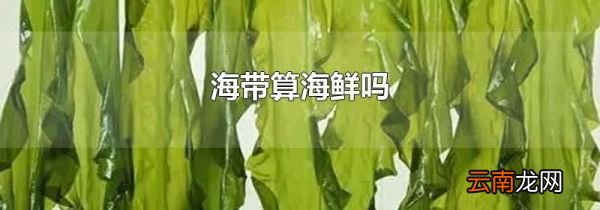 海带算海鲜吗