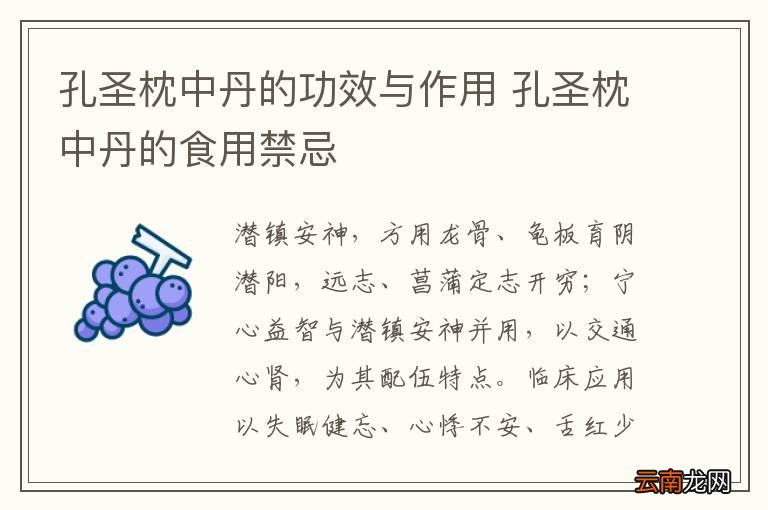 孔圣枕中丹的功效与作用 孔圣枕中丹的食用禁忌