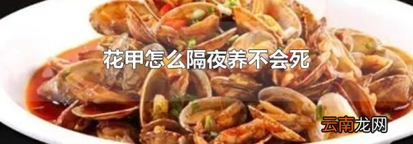 花甲怎么隔夜养不会死
