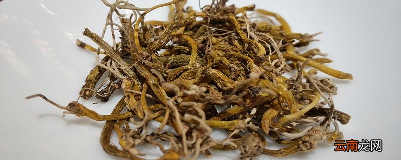 石斛的功效与禁忌 石斛的功效和禁忌是什么