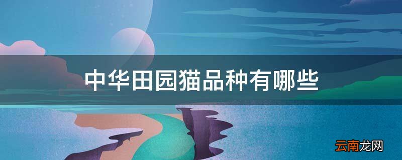 中华田园猫品种有哪些