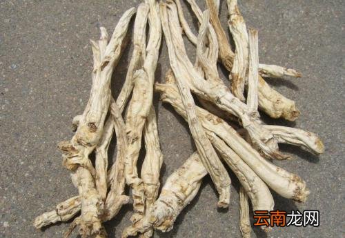 桔梗的药用功效有哪些