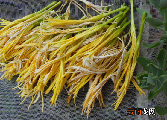 产妇能不能食用黄花菜有没有帮助
