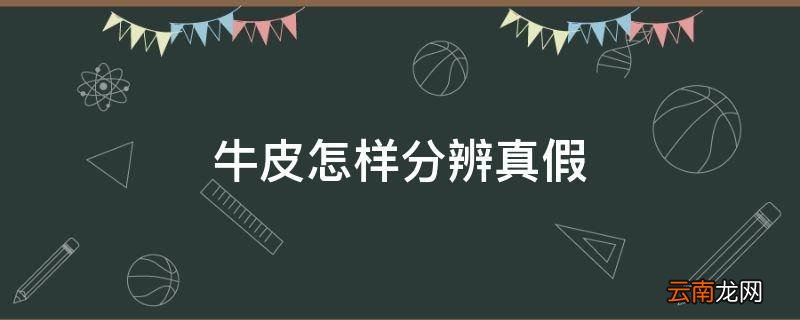 牛皮怎样分辨真假
