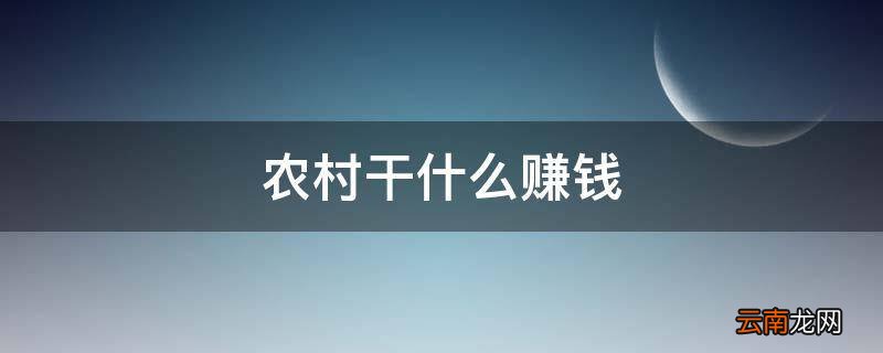 农村干什么赚钱